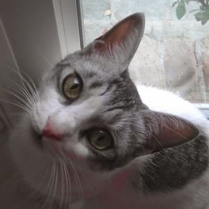 Meet your Posher, Suzanne